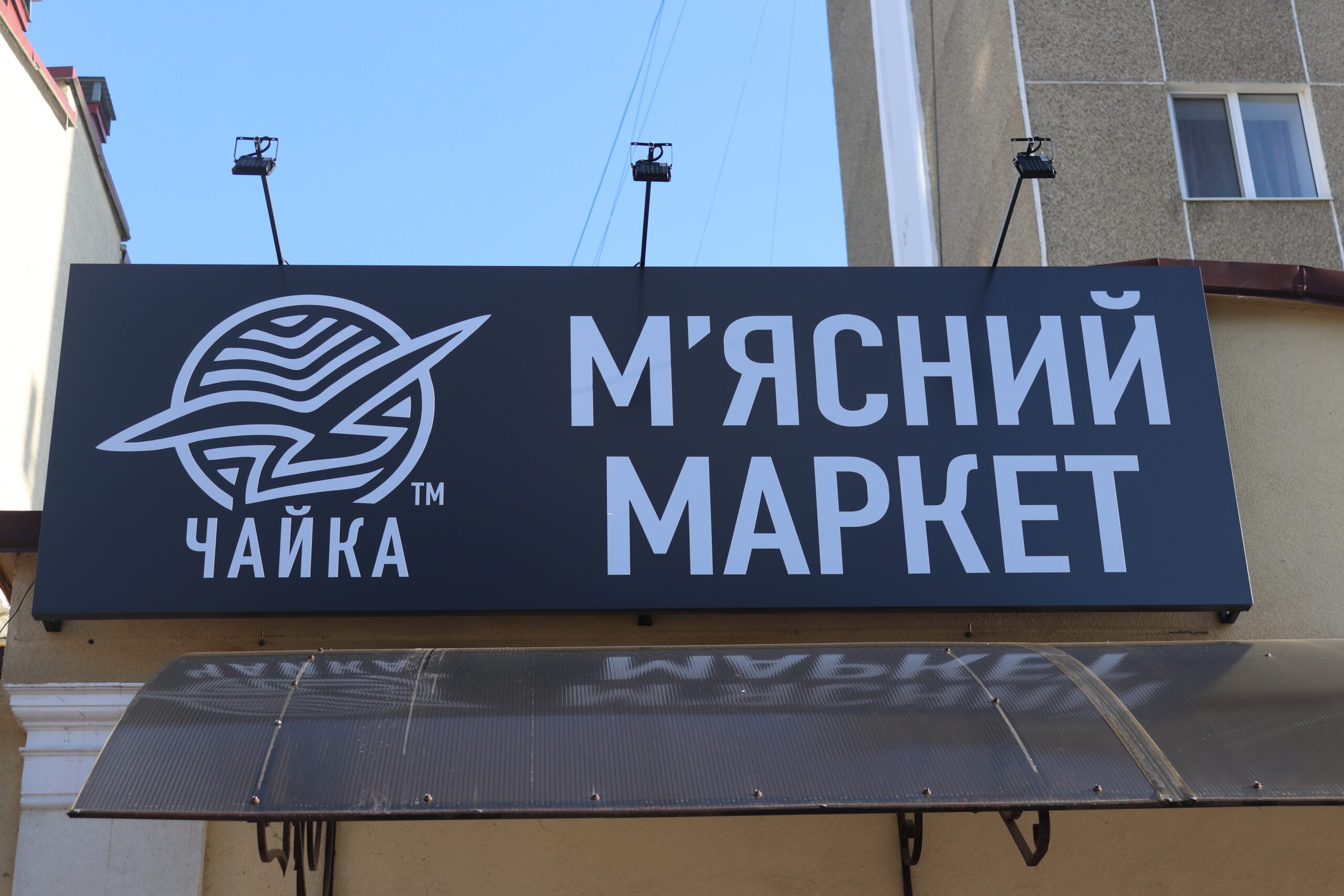 Чайка